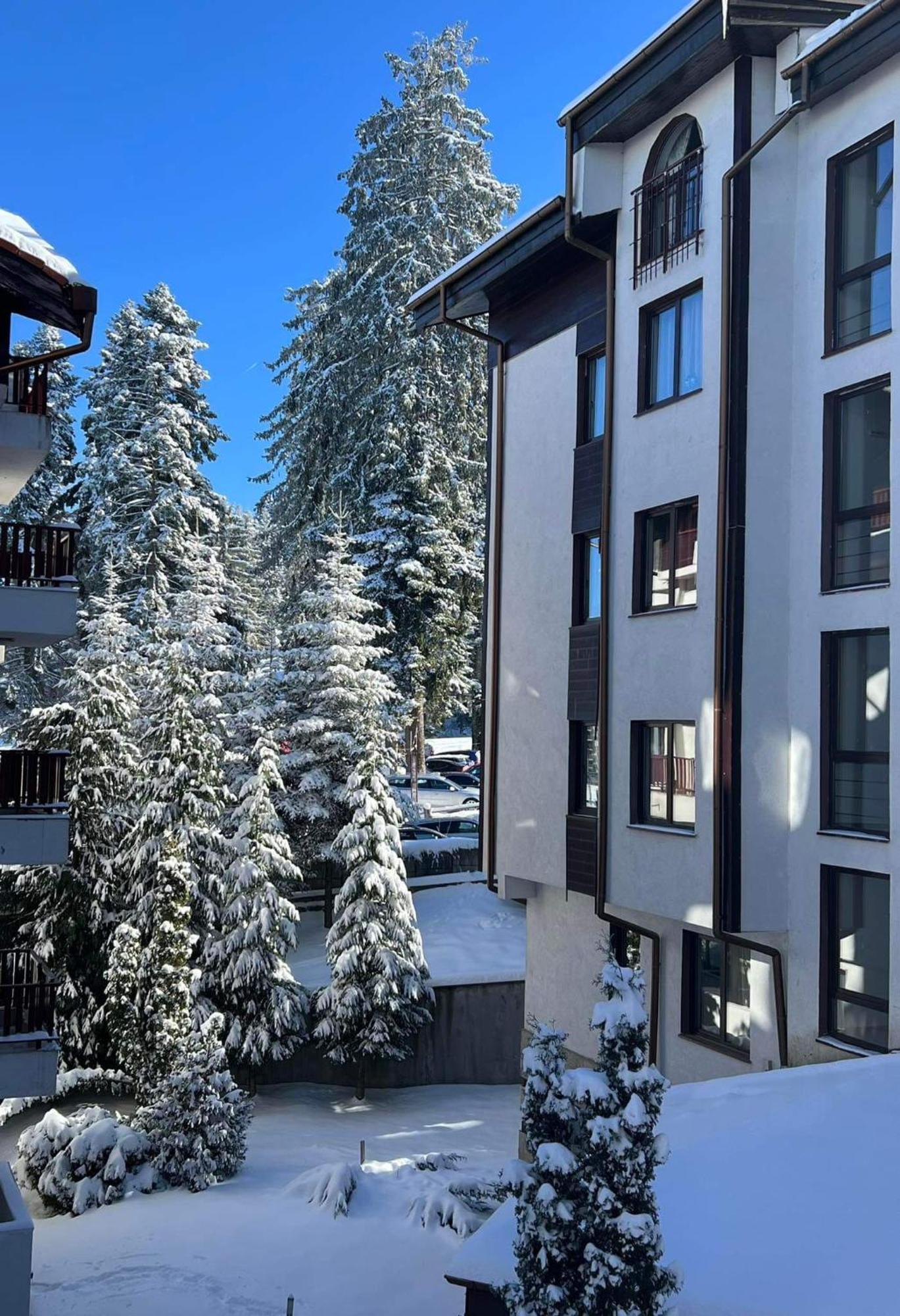 Arboro Flora Residence Studio Borowec Zewnętrze zdjęcie